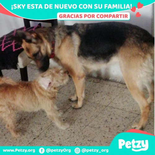 Foto del reencuentro de Sky
