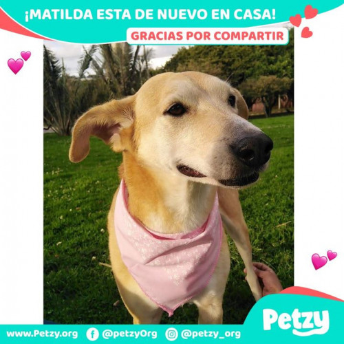 Foto del reencuentro de Matilda