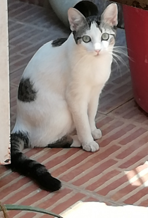 Luna
