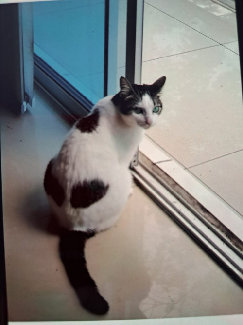 Luna