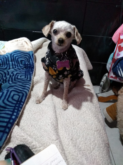 Maggie