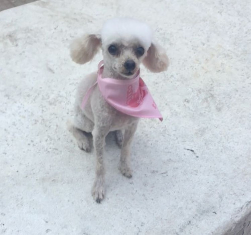 Maggie