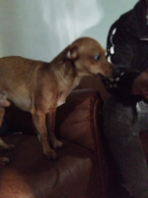 Max