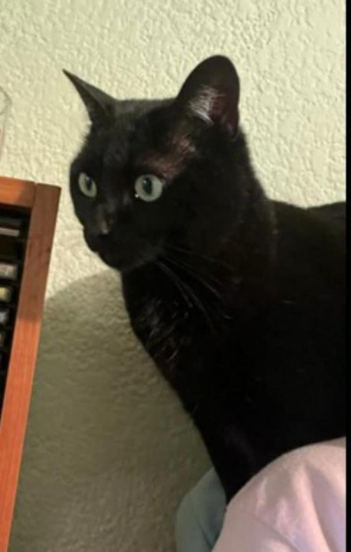 Murphy