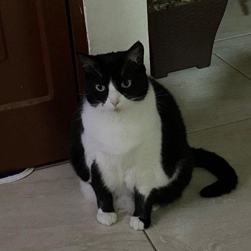 Kiara