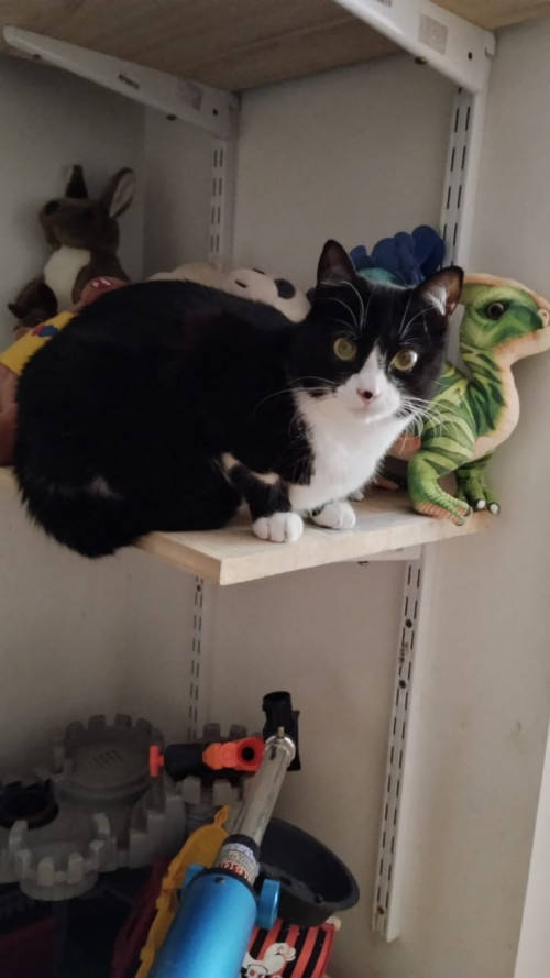 Kiki