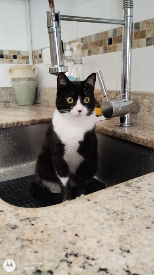 Kiki