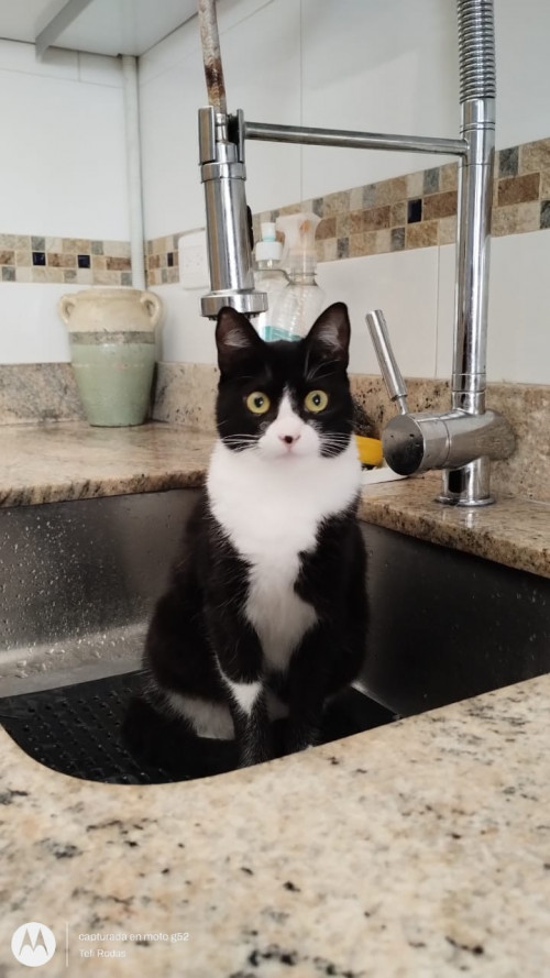 Kiki