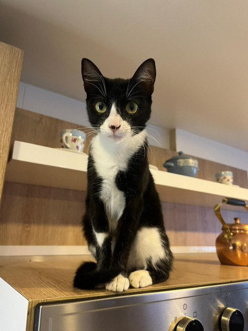 Kiki