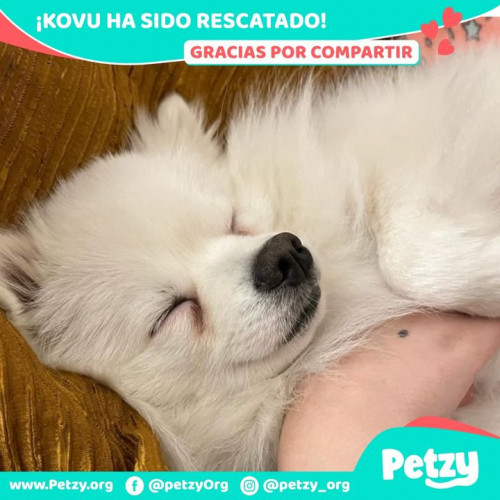 Foto del reencuentro de Kovu