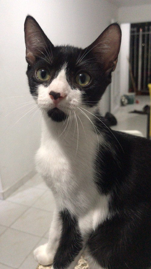 Jack