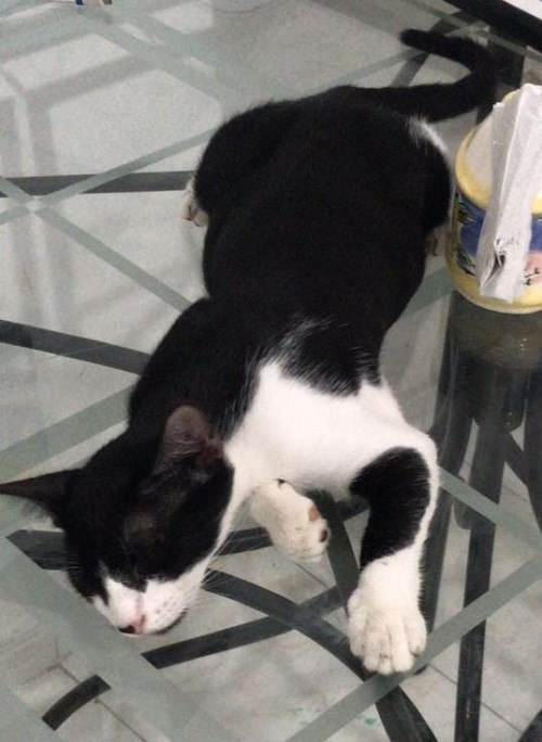 Jack