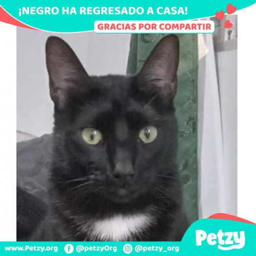 Foto del reencuentro de Negro