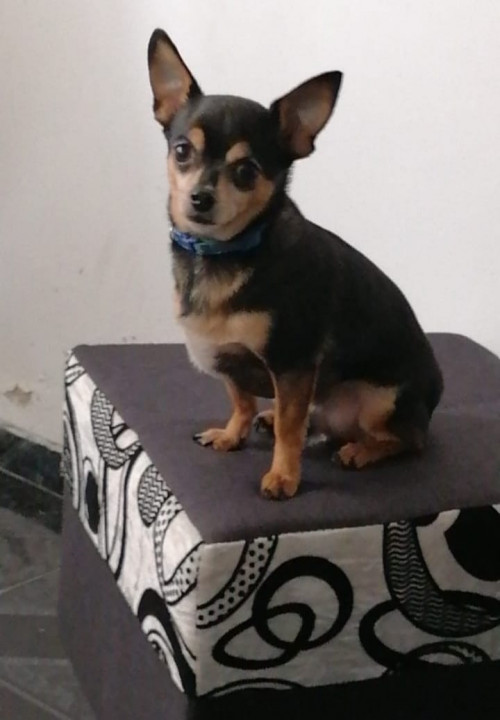 Juanito