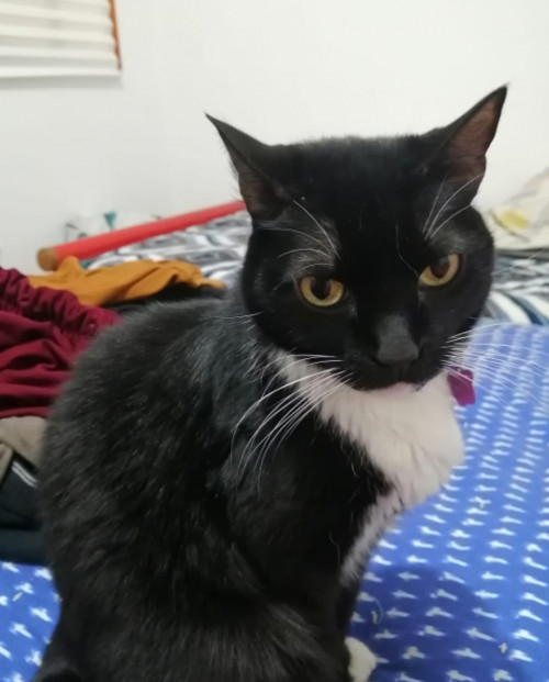 Luna