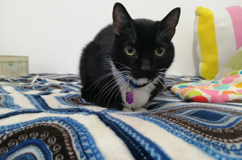 Luna
