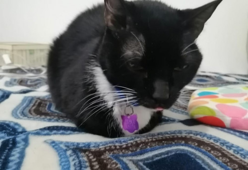 Luna