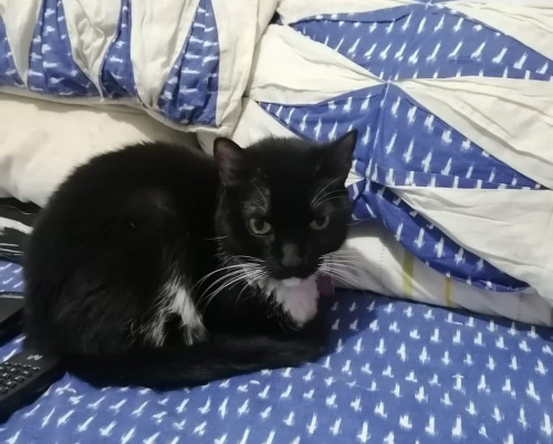 Luna
