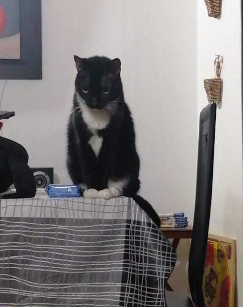 Luna