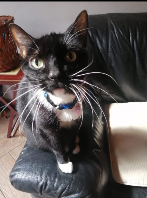 Luna
