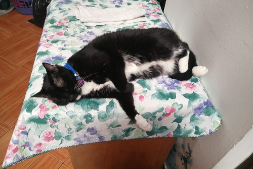Luna