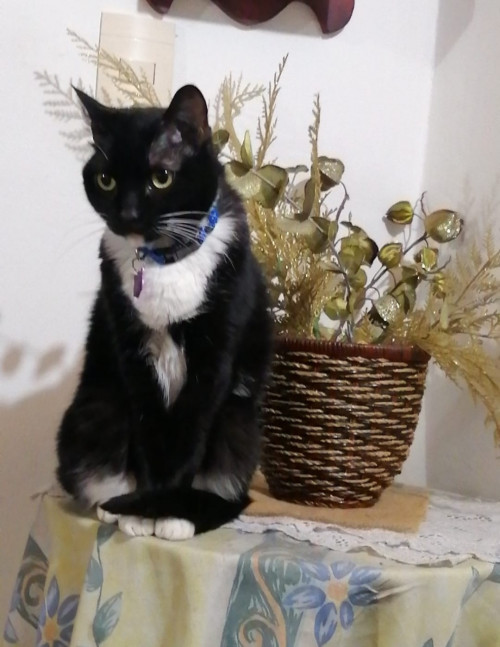 Luna