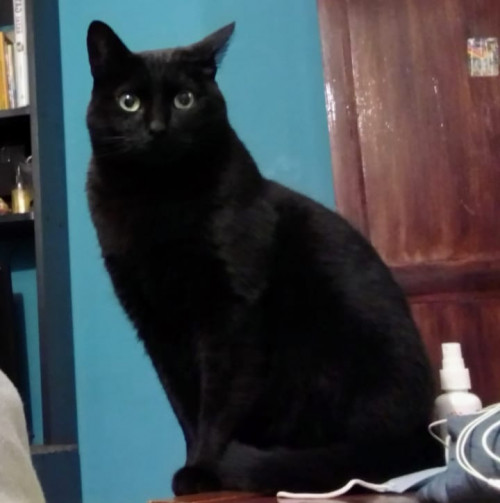 Pepa