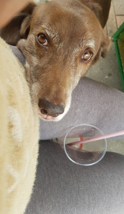 Molly