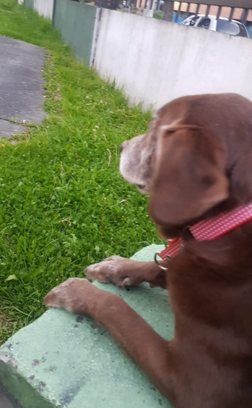 Molly