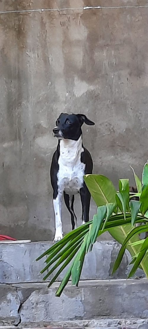 Luna