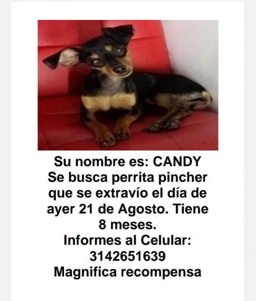 Candy