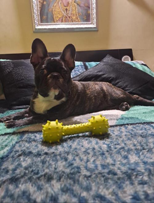 Nala