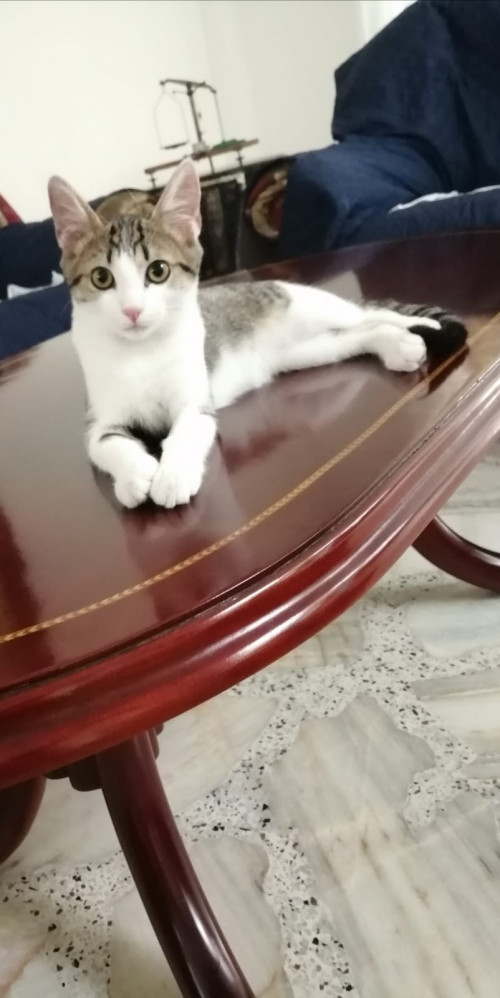Rosita