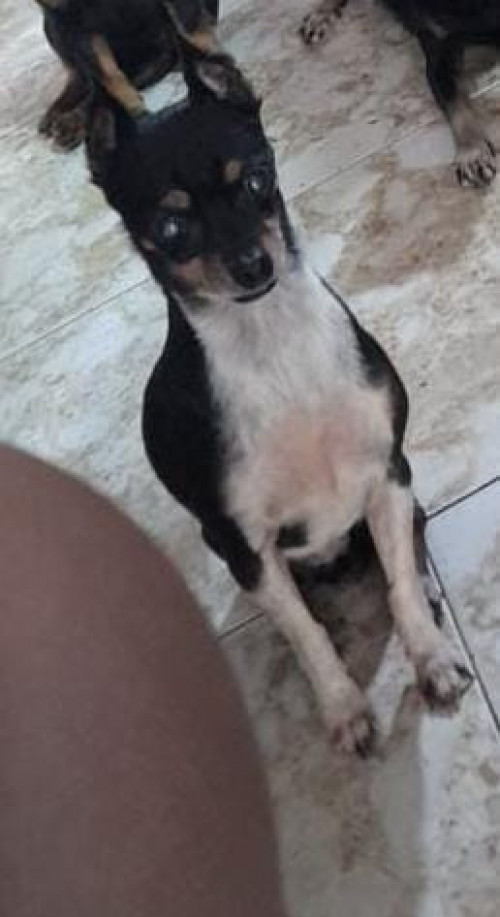Princesa