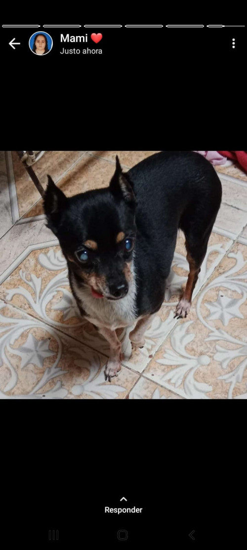 Princesa