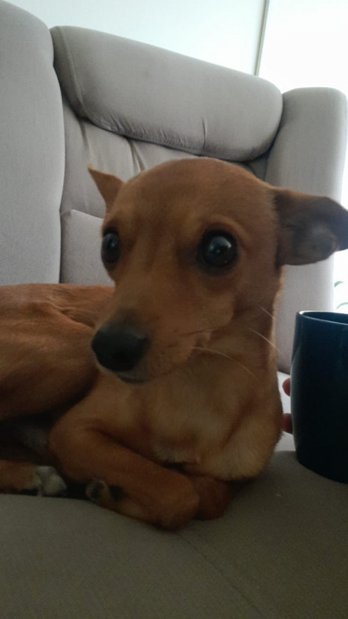 Lucas