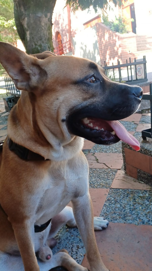Capitán