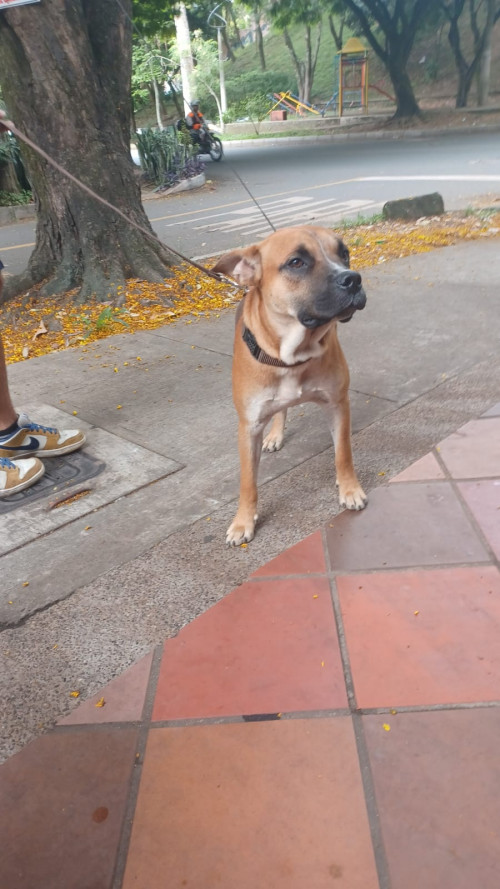 Capitán
