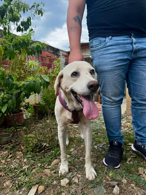 Paco