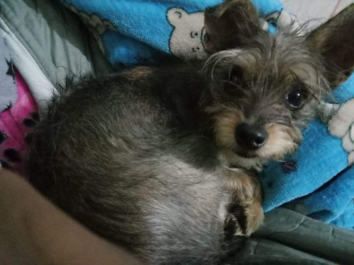 Minnie