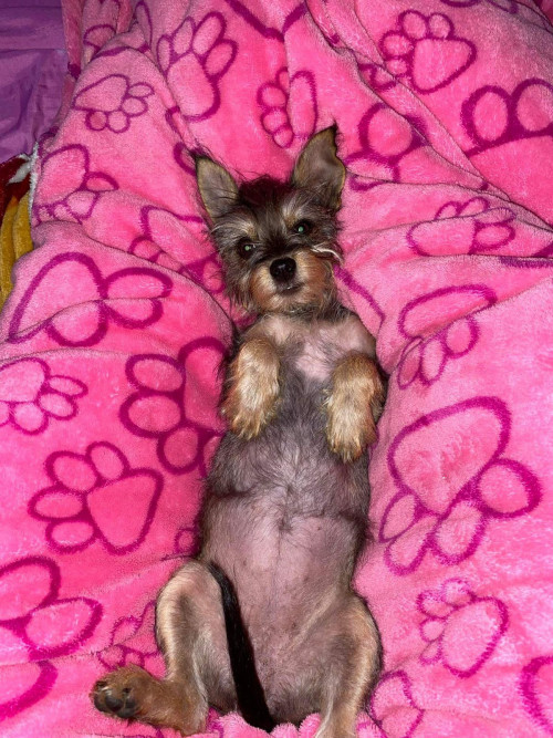 Minnie