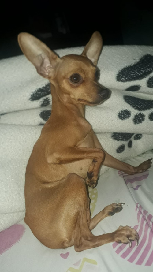 Chloe