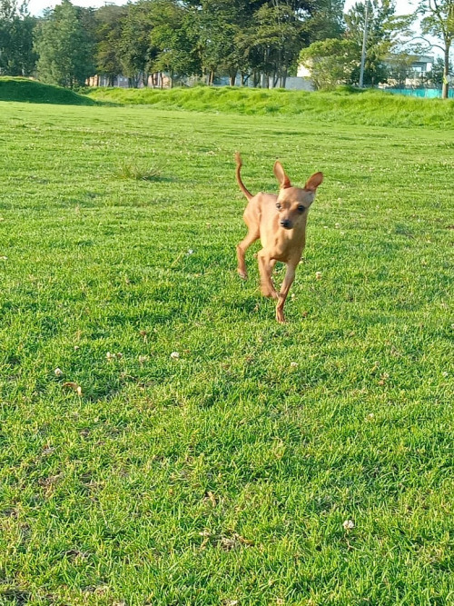 Chloe