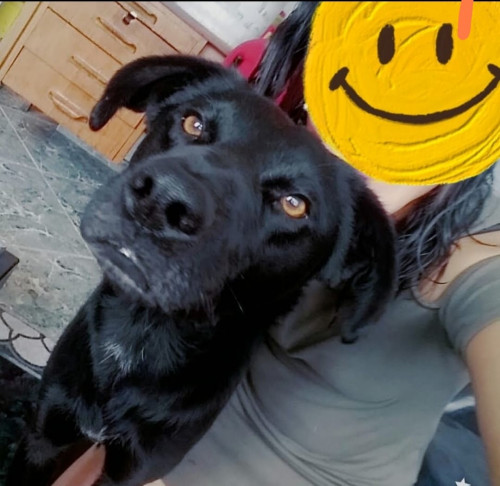 Negro
