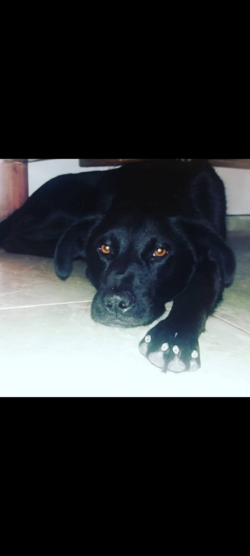 Negro