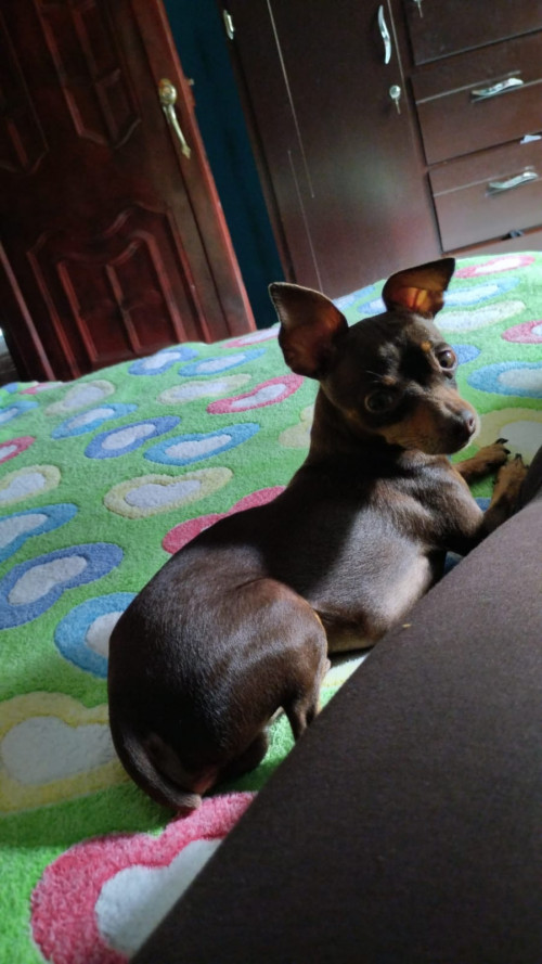 Ricky