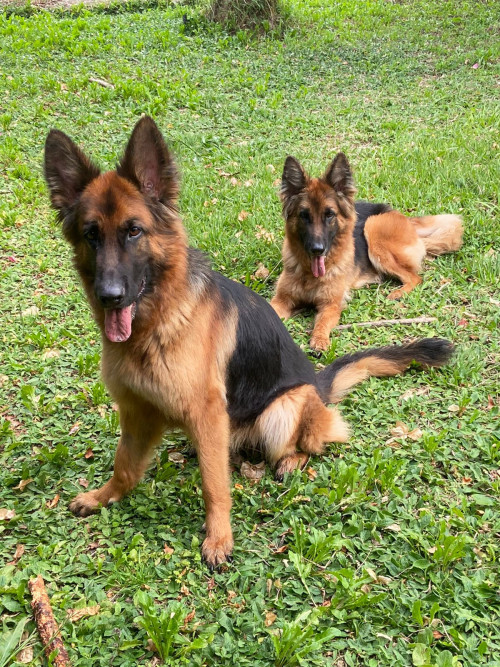 Tasha Y Trixie