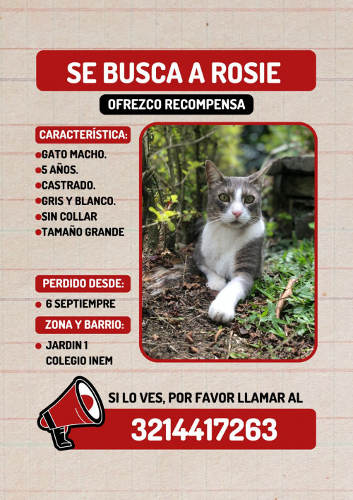 Rosie