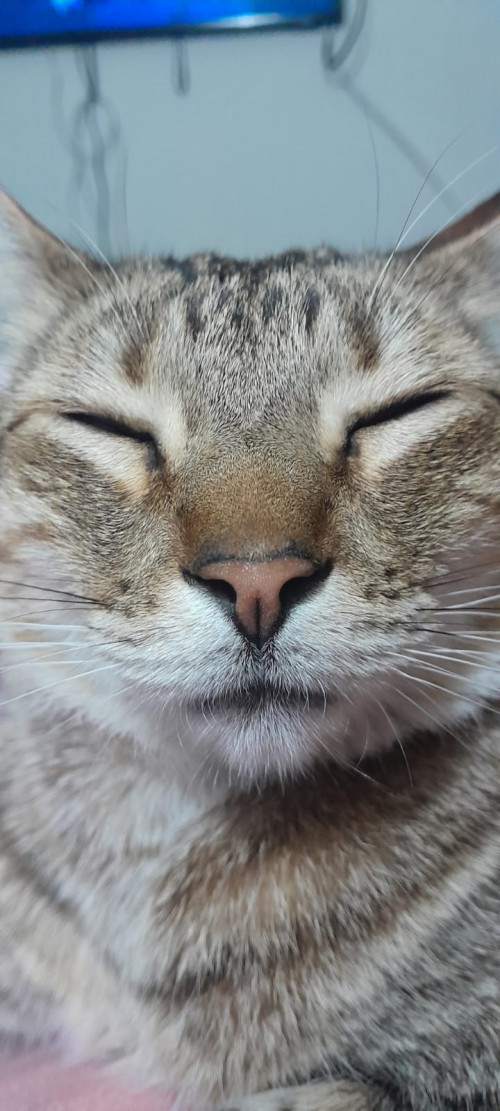 Benjamín