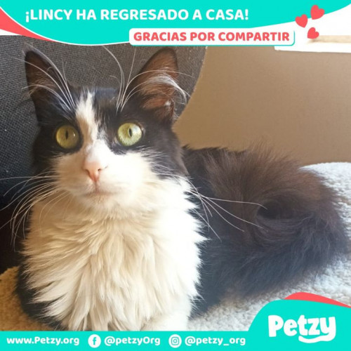 Foto del reencuentro de Lincy